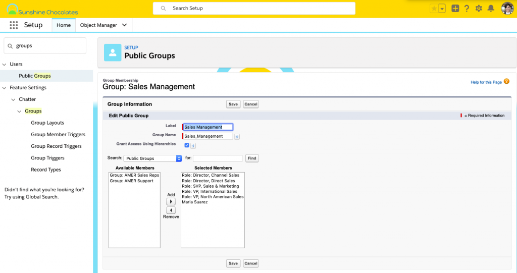  Alt text: Screenshot of Public Groups configuration in Setup.