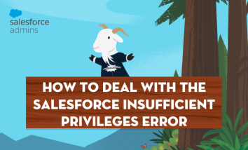 how-to-deal-with-the-salesforce-insufficient-privileges-error