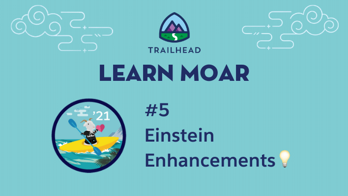 Lear Moar Blog 5: Einstein Enhancements