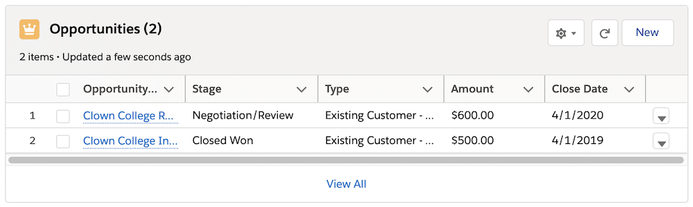 An Opportunities list view with five columns, two of which, Opportunity Name and Type, are not wide enough for the values to fully display.