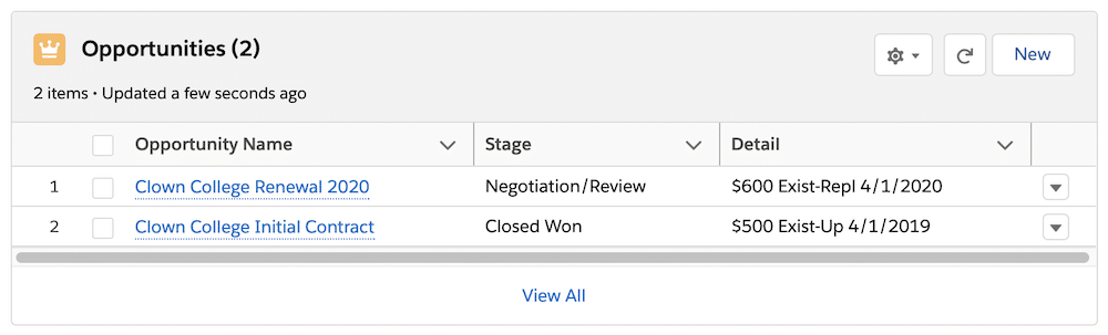 Opportunities list view with the same fields, but now Type is abbreviated and no fields are truncated.