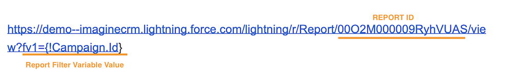 Image showcasing what the custom URL link looks like with the Report ID and the Report Filter Variable Value included. 
