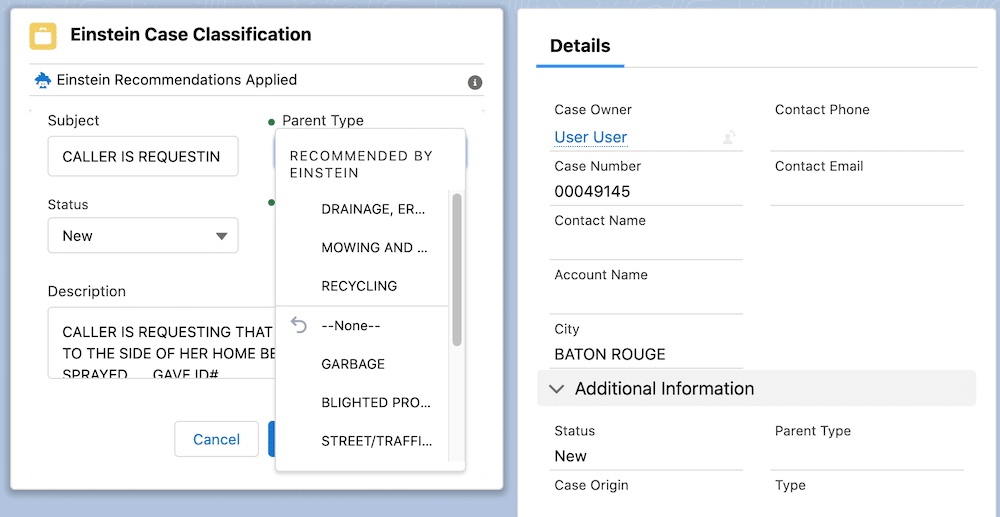 Screengrab showcasing how you can turn on Einstein Case Classification. 