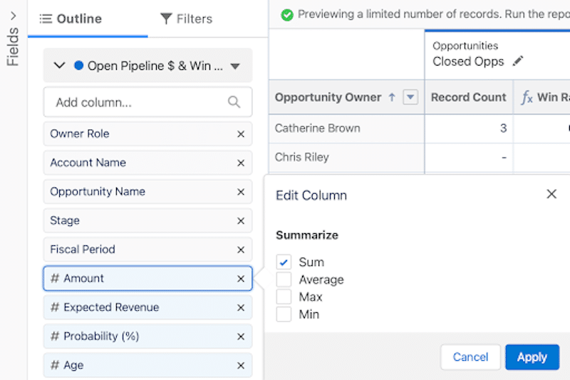 Clicking Amount in the Outline's list to show its sum on the report. 