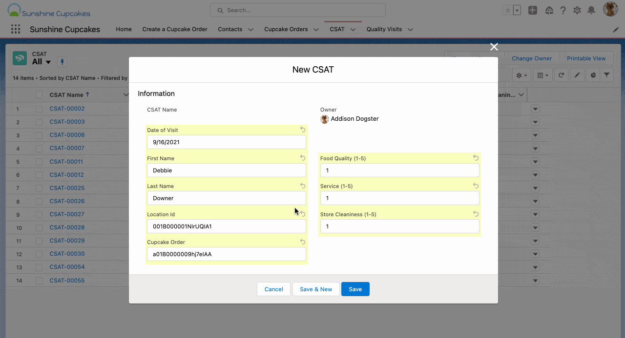 Animated gif that shows CSAT record creation and resulting DM and post to Slack.