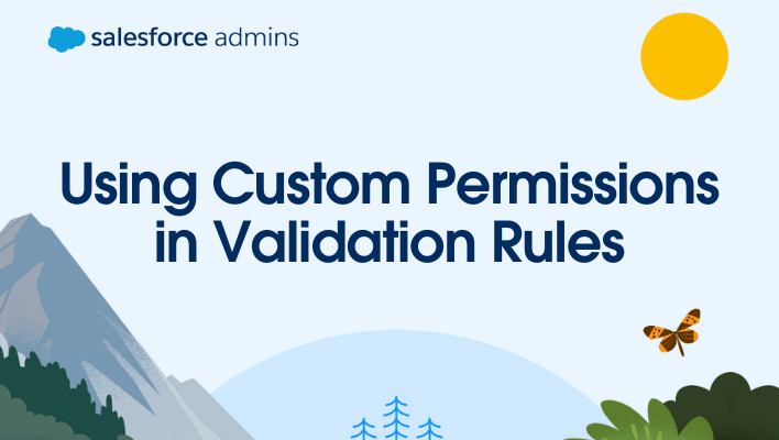 Using Custom Permissions in Validation Rules