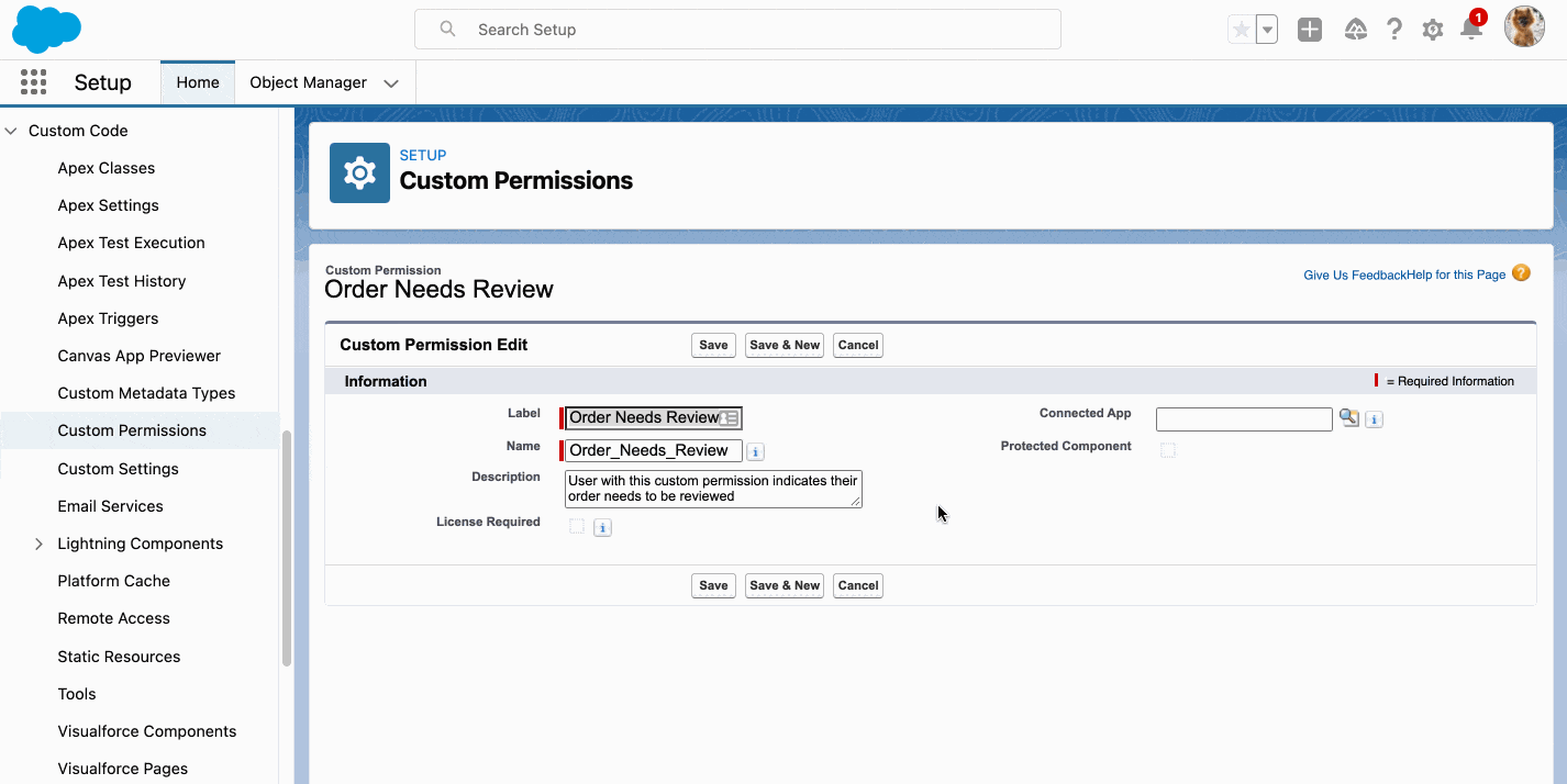 Associating the custom permission to the permission set and assigning the permission set to a user.