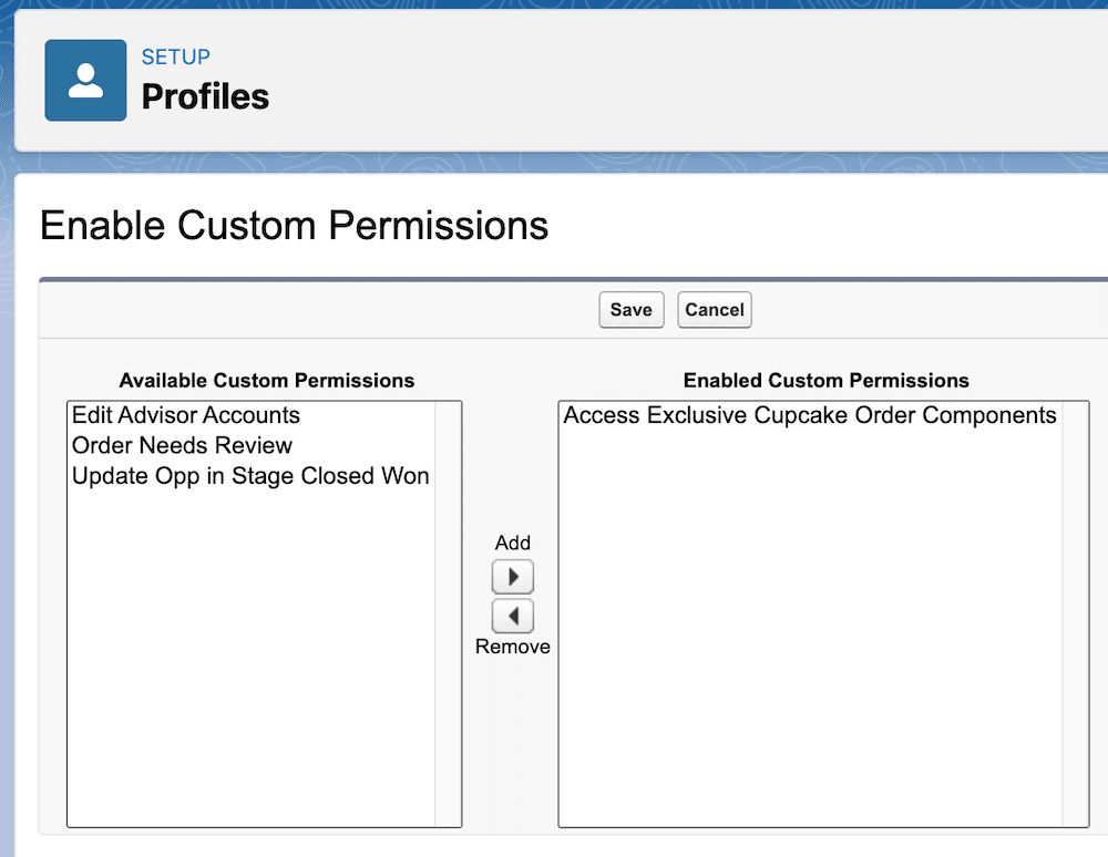 Custom permission enabled in the profile.