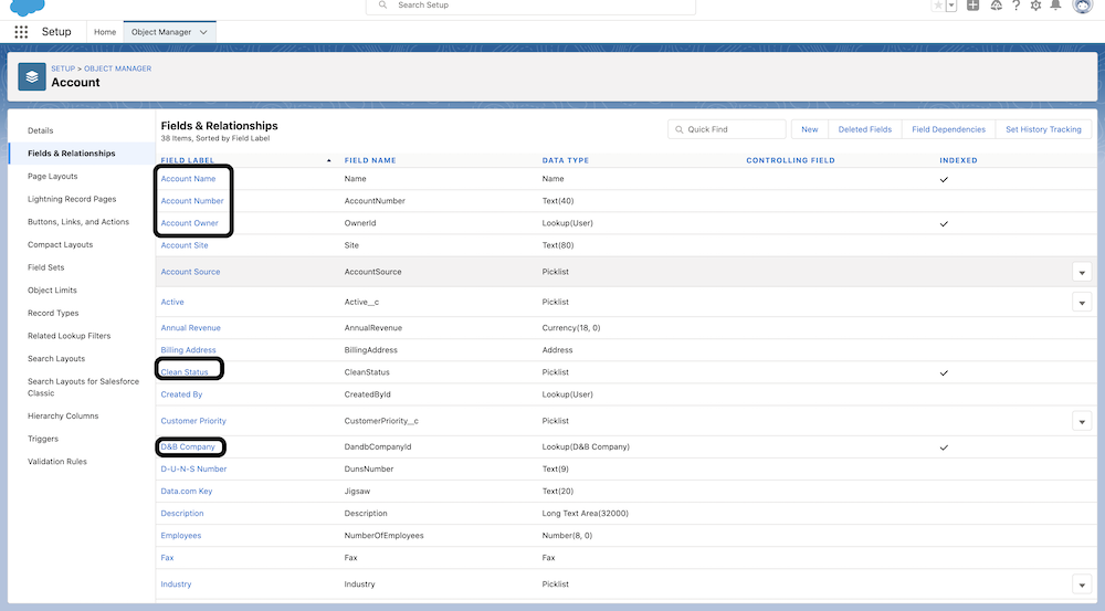 Account page showing fields selected — Account Name, Account Number, Account Owner, Clean Status, D&B Company. 