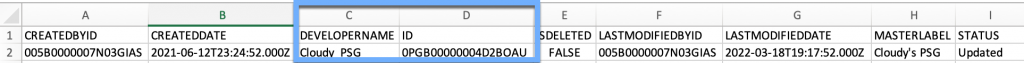 Permission set group record with DeveloperName and ID fields highlighted