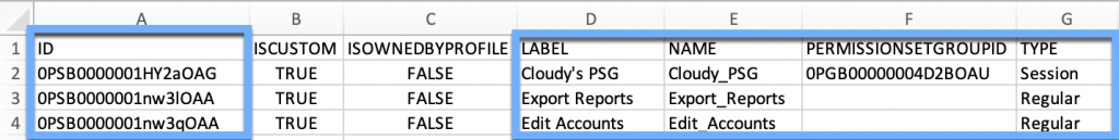 Permission set records with ID, Label, Name, PermissionSetGroupId, and Type fields highlighted