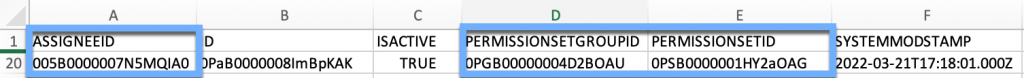 Permission set assignment records with AssigneeId, PermissionSetGroupId, and PermissionSetId fields highlighted