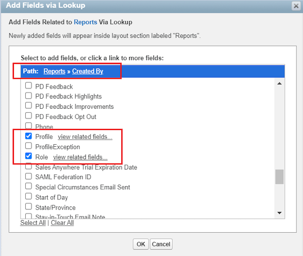 Report filters for Profile and Role on the Add Fields via Lookup page.