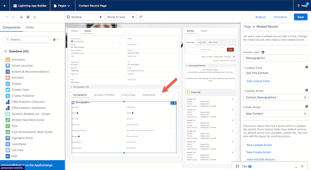 Lightning record page setup screen with red arrow pointing at Demographics section