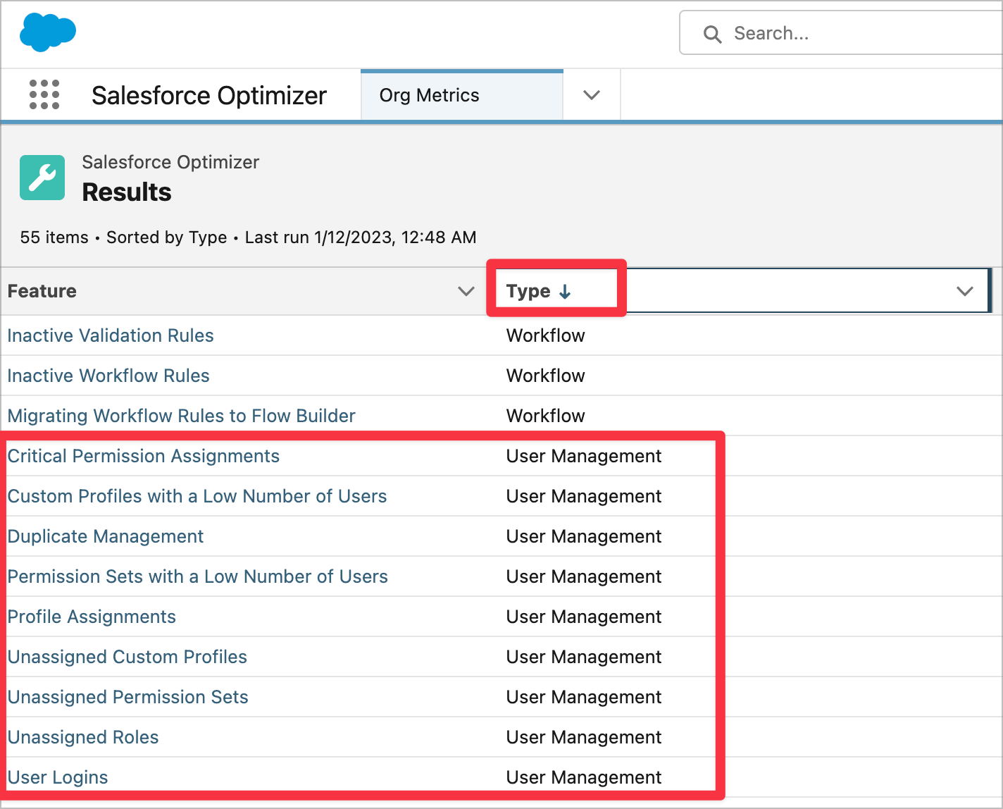 Salesforce Optimizer results; By clicking Type, we're able to sort the feature results. 