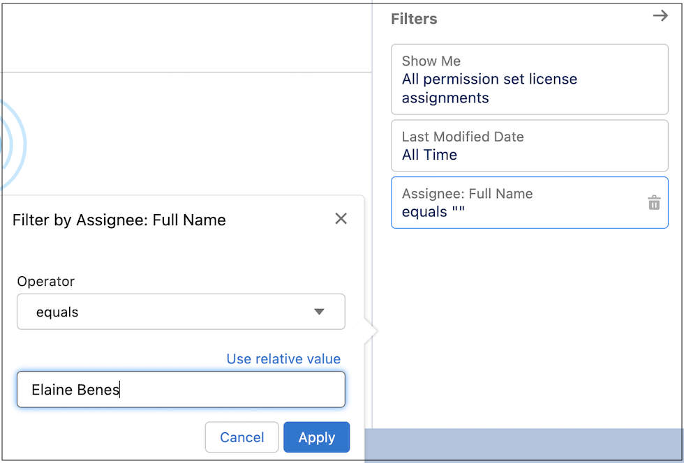 Filter panel on the Report Run page, which shows the Assignee: Full Name field filtered by the name of a user.