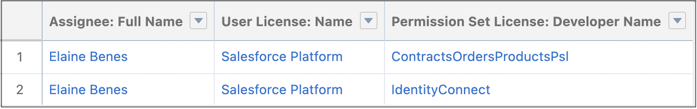 Report Run page showing the User License and Permission Set License assigned to a user.