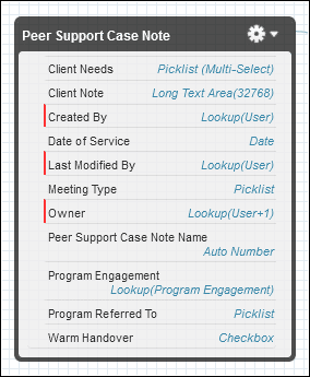 Schema Builder window for object named Peer Support Case Note. Fields include Client Needs (Picklist, Multi-Select), Client note (Long Text Area), Date of Service (Date), Meeting Type (Picklist), Program Engagement (Lookup on Program Engagement), Program Referred To (Picklist), and Warm Handover (Checkbox).