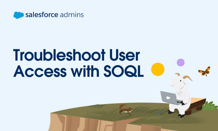 Troubleshoot user access with SOQL