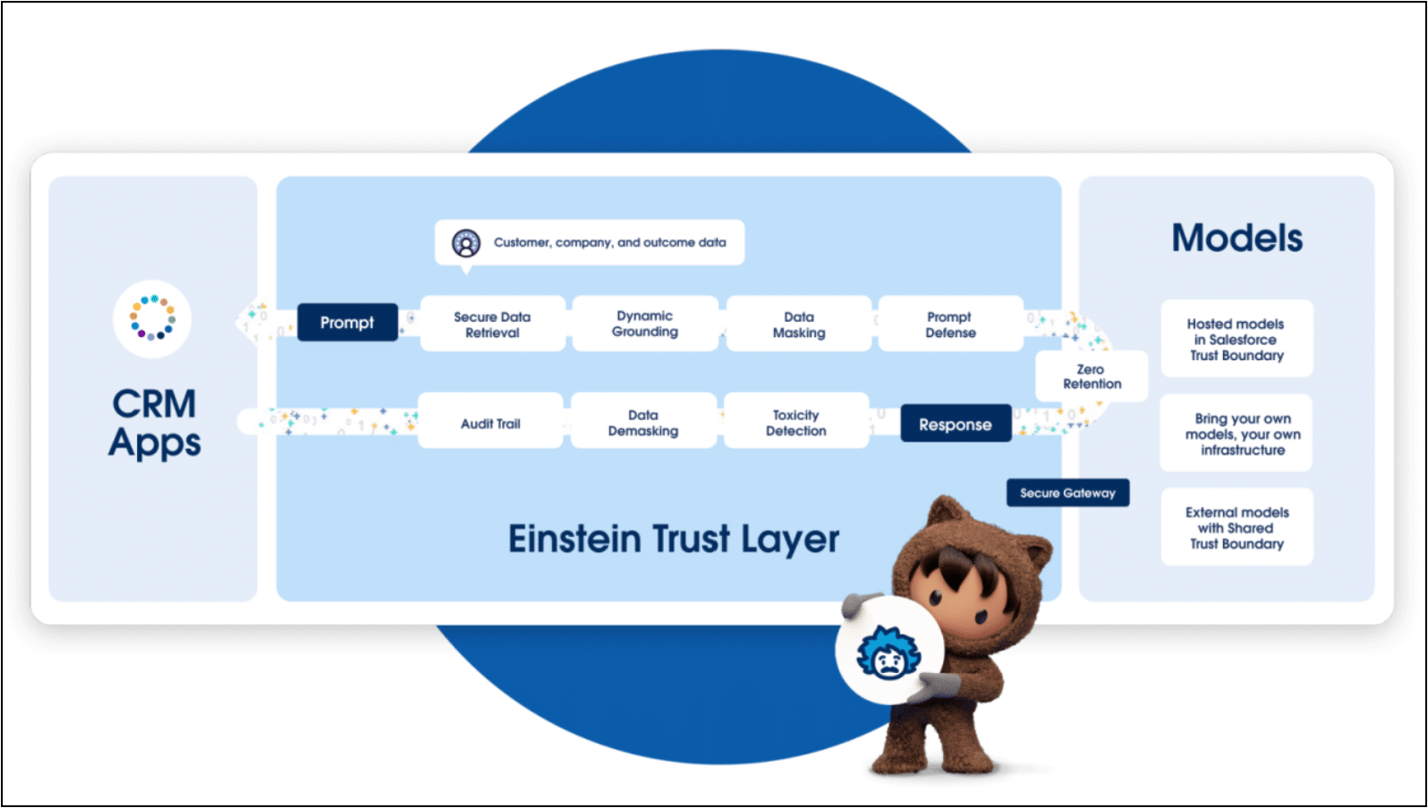 The Einstein Trust Layer.