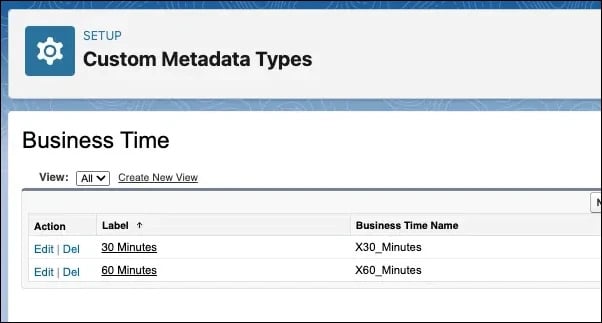 A Salesforce setup page displaying “Custom Metadata Types” with “Business Time”, showing two entries: “30 Minutes” and “60 Minutes”, each with options to edit or delete.