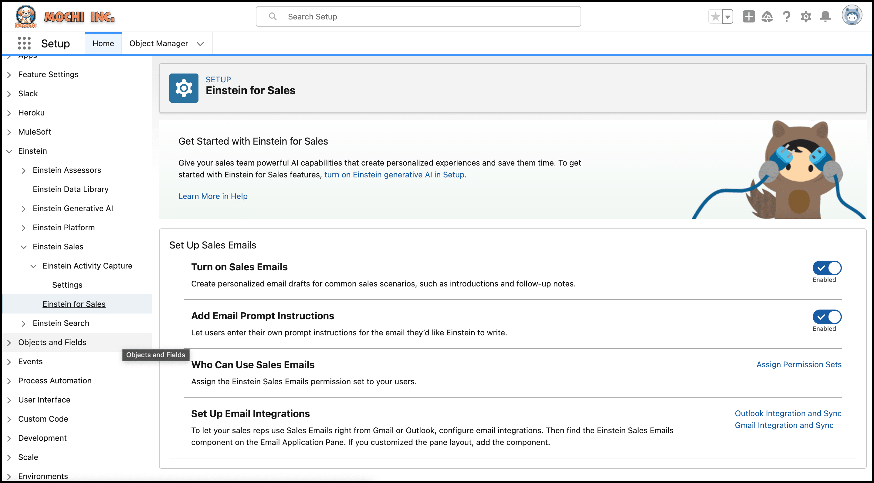 Einstein for Sales Setup page.