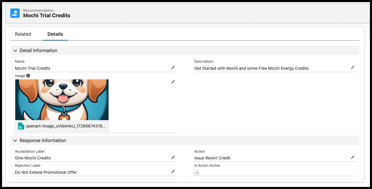 Creating a new Salesforce Recommendation to Issue Mochi Credits to a customer.