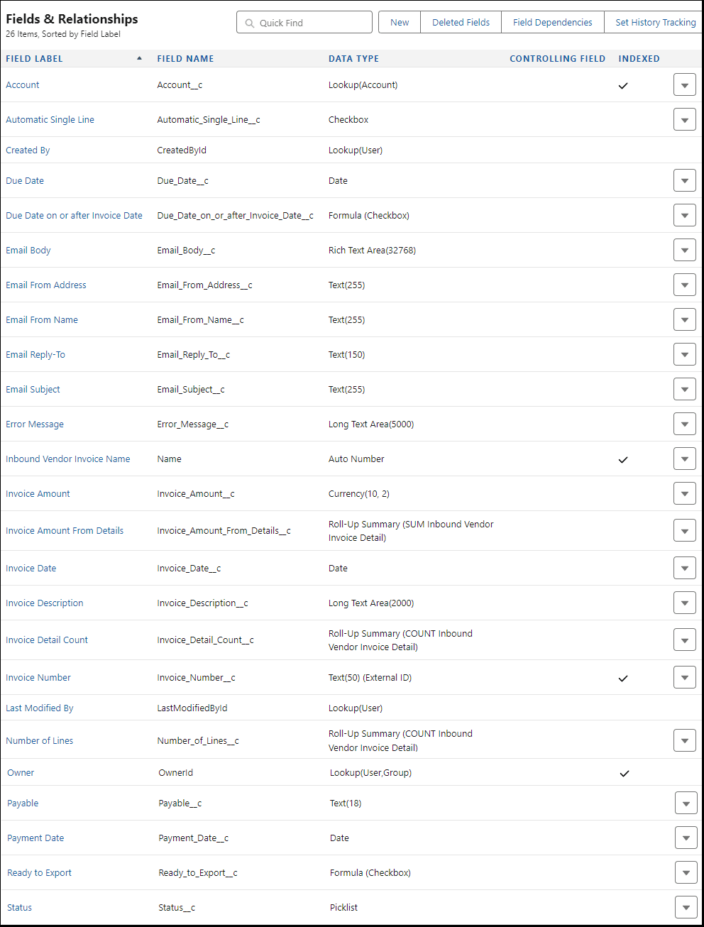 Object Setup Fields tab showing the different fields created on this custom object.