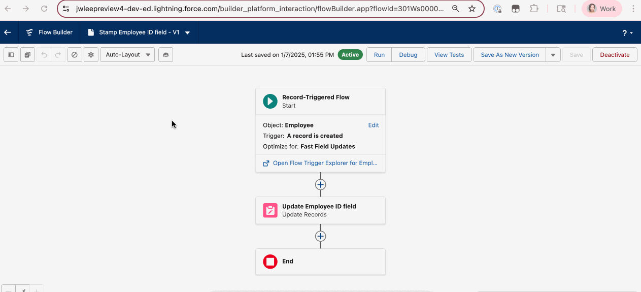 Accessing the Set Up Persistent Logging for this Org in the Advanced properties of a record-triggered flow.