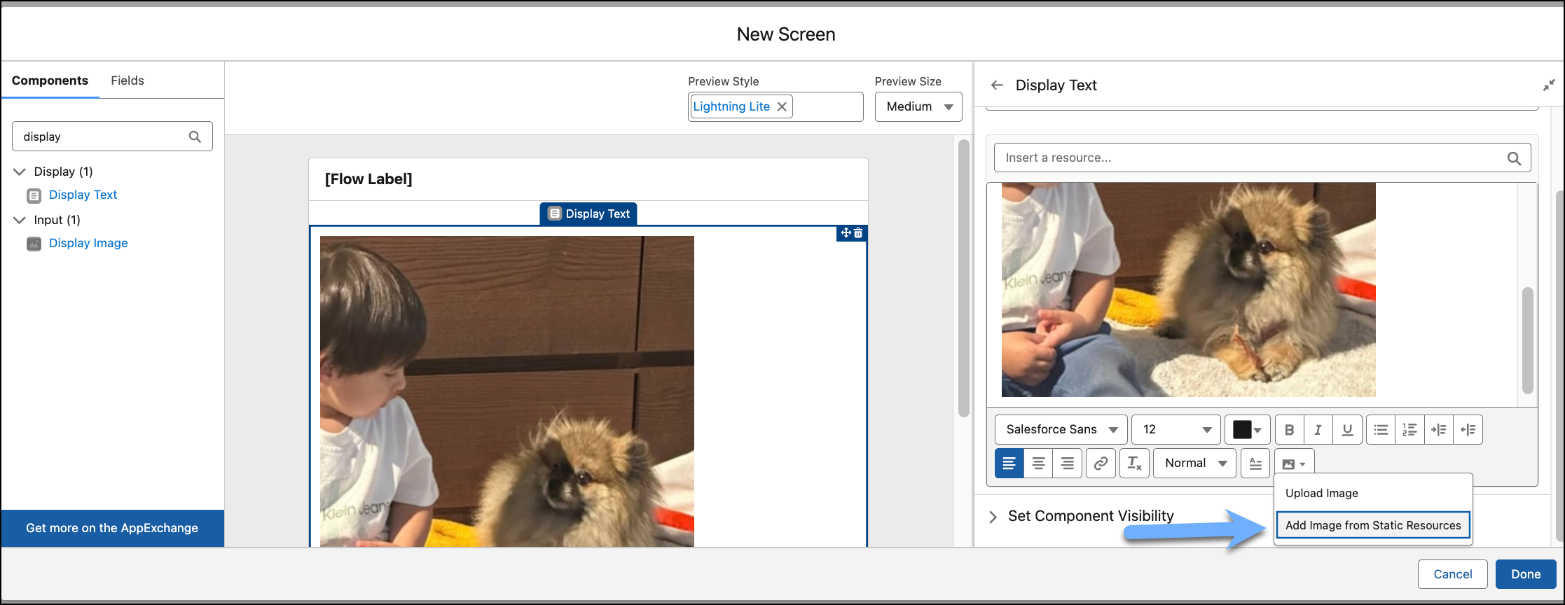 Adding image from Static Resources in a Display Text component to package and deploy with your screen flow.