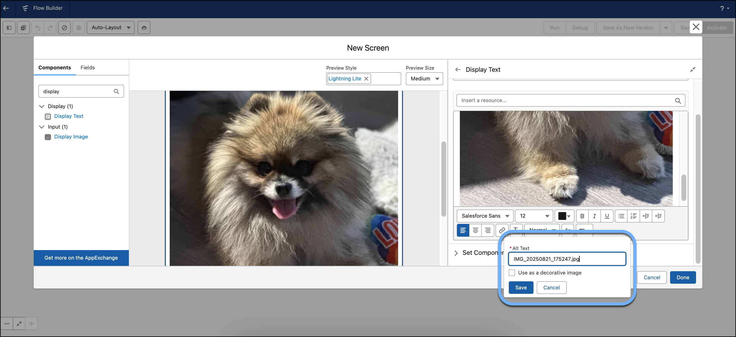Add Alt Text or set an image as a decorative image for any image used in a Display Text component in a screen flow.