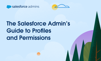 The Admin's Guide to permission and profiles