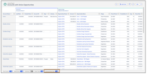 Common Rows Only filter on Joined Reports.
