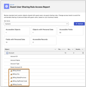 Guest User Sharing Rule Access Report to find potential sensitive information to hide from Guest users