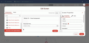 New Time component in use in a Screen Flow and data from the component used in the Flow