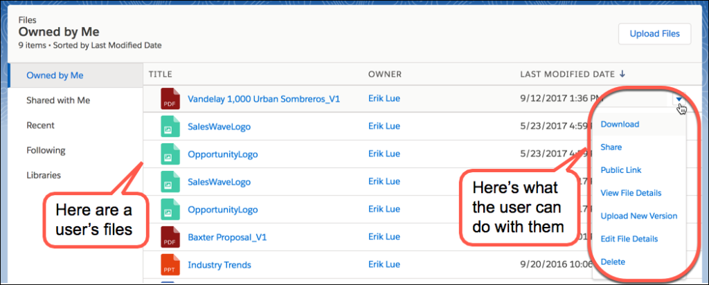 Pro Tip: Simplify File Management with Salesforce Files in Lightning  Experience - Salesforce Admins